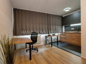 Pronájem bytu 1+kk, České Budějovice - České Budějovice 2, V. Volfa, 36 m2