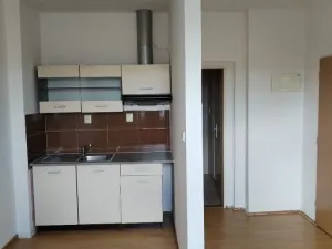 Pronájem bytu 1+kk, Ústí nad Labem - Předlice, Prostřední, 20 m2