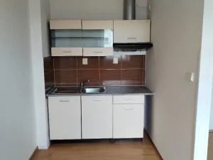 Pronájem bytu 1+kk, Ústí nad Labem - Předlice, Prostřední, 20 m2