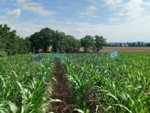 Prodej komerčního pozemku, Havlíčkův Brod - Termesivy, 20005 m2