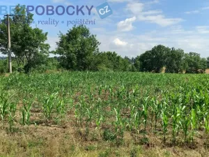 Prodej komerčního pozemku, Havlíčkův Brod - Termesivy, 20005 m2