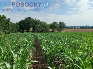 Prodej komerčního pozemku, Havlíčkův Brod - Termesivy, 20005 m2