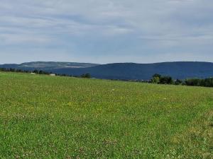 Prodej zemědělské půdy, Hostomice, 8385 m2