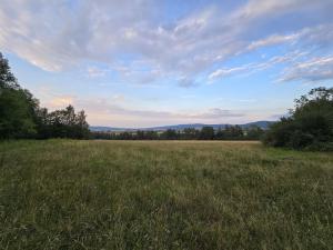 Prodej zemědělské půdy, Hostomice, 8385 m2