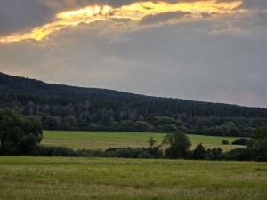 Prodej zemědělské půdy, Hostomice, 8385 m2