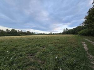 Prodej zemědělské půdy, Hostomice, 8385 m2