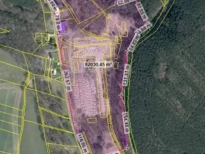 Pronájem komerčního pozemku, Bělá pod Bezdězem, 50000 m2