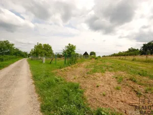 Prodej vinného sklepa, Břeclav - Charvátská Nová Ves, 15 m2