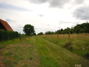 Prodej vinného sklepa, Břeclav - Charvátská Nová Ves, 15 m2