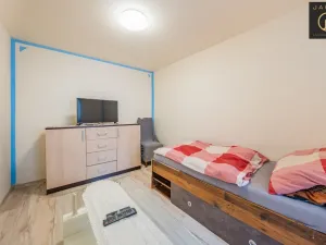 Prodej rodinného domu, Chožov - Mnichovský Týnec, 640 m2