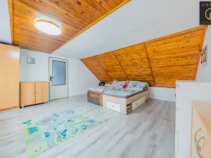 Prodej rodinného domu, Chožov - Mnichovský Týnec, 640 m2