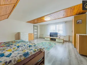 Prodej rodinného domu, Chožov - Mnichovský Týnec, 640 m2