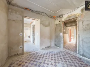 Prodej rodinného domu, Chožov - Mnichovský Týnec, 640 m2