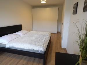 Prodej bytu 2+kk, Lipno nad Vltavou, 65 m2