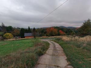 Prodej trvalého travního porostu, Solenice, 1233 m2