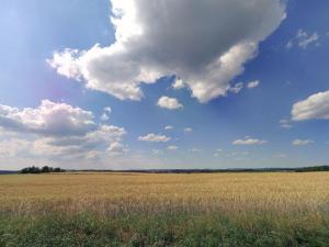 Prodej zemědělské půdy, Řepeč, 5480 m2