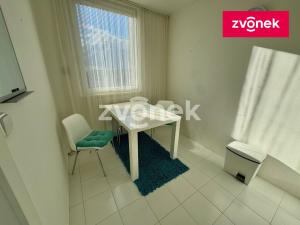 Pronájem bytu 1+1, Zlín, Česká, 33 m2