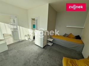 Pronájem bytu 1+1, Zlín, Česká, 33 m2