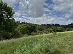 Prodej podílu pozemku, Suchdol, 9026 m2