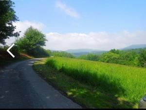 Prodej zemědělské půdy, Zubří, Pod Obecníkem, 2234 m2