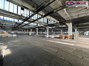 Pronájem výrobních prostor, Kladno - Dubí, Dubská, 10000 m2