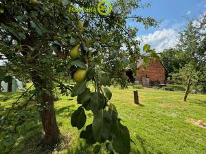 Prodej rodinného domu, Studénka - Butovice, Butovická, 118 m2