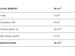 Prodej bytu 1+kk, Praha - Vinohrady, Polská, 38 m2