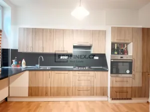 Prodej vily, Kraslice, Rybná, 420 m2