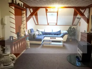 Prodej vily, Kraslice, Rybná, 420 m2