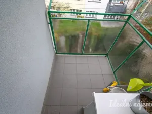 Pronájem bytu 2+kk, Brno - Staré Brno, Pekařská, 29 m2