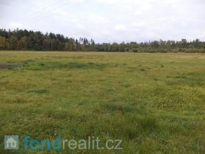 Prodej zemědělské půdy, Nová Ves nad Lužnicí, 30010 m2