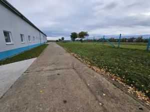 Pronájem výrobních prostor, Děčany - Solany, 500 m2