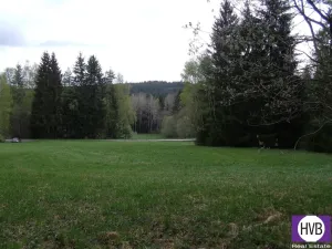 Prodej podílu 1/3 pole, Přední Výtoň, Přední Výtoň, 4039 m2