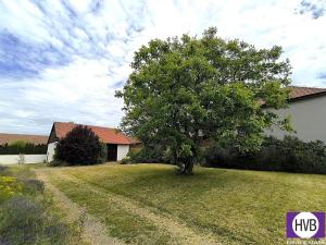 Prodej rodinného domu, Běrunice, Vrška, 387 m2