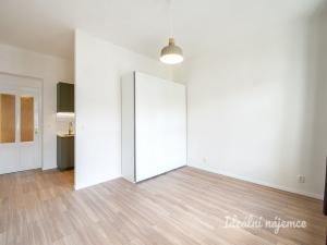 Pronájem bytu 1+kk, Praha - Karlín, Hybešova, 33 m2