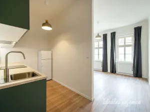 Pronájem bytu 1+kk, Praha - Karlín, Hybešova, 33 m2