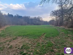 Prodej zahrady, Praha, 19402 m2