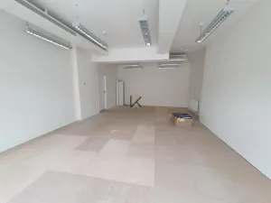 Pronájem obchodního prostoru, Praha - Nusle, Lomnického, 45 m2