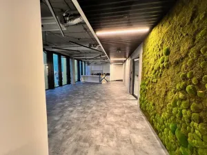 Pronájem kanceláře, Praha - Vokovice, Evropská, 518 m2