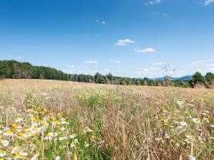 Prodej zemědělské půdy, Huntířov - Stará Oleška, 49506 m2