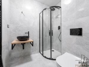 Prodej bytu 2+kk, Loučná nad Desnou - Rejhotice, 48 m2