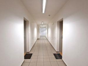 Pronájem bytu 1+kk, Klecany, V Honech, 35 m2
