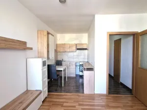 Pronájem bytu 1+kk, Klecany, V Honech, 35 m2