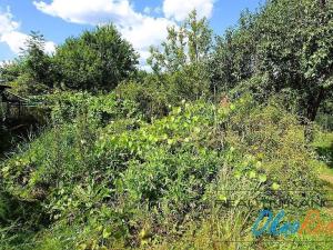 Prodej rodinného domu, Lipník nad Bečvou - Lipník nad Bečvou I-Město, Na Horecku, 88 m2