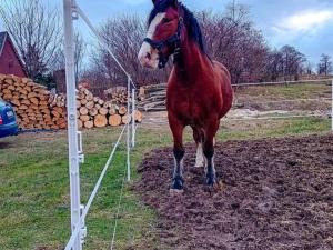 Prodej rodinného domu, Třemešná - Rudíkovy, 82 m2