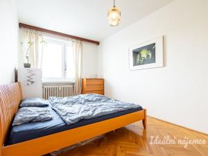 Pronájem bytu 3+1, Praha - Žižkov, U kněžské louky, 89 m2