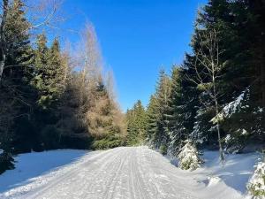 Prodej bytu 2+kk, Bedřichov, 50 m2