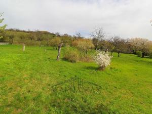 Prodej pozemku, Žalhostice, 3477 m2