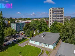 Prodej obchodního prostoru, Ostrava, Patrice Lumumby, 598 m2