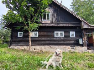 Prodej rodinného domu, Kašperské Hory, Vimperská, 100 m2